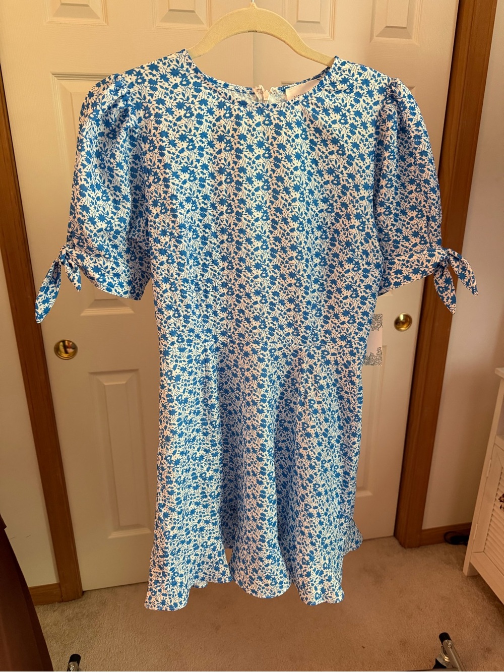 Blue Floral Tie-Sleeve Women's Dress